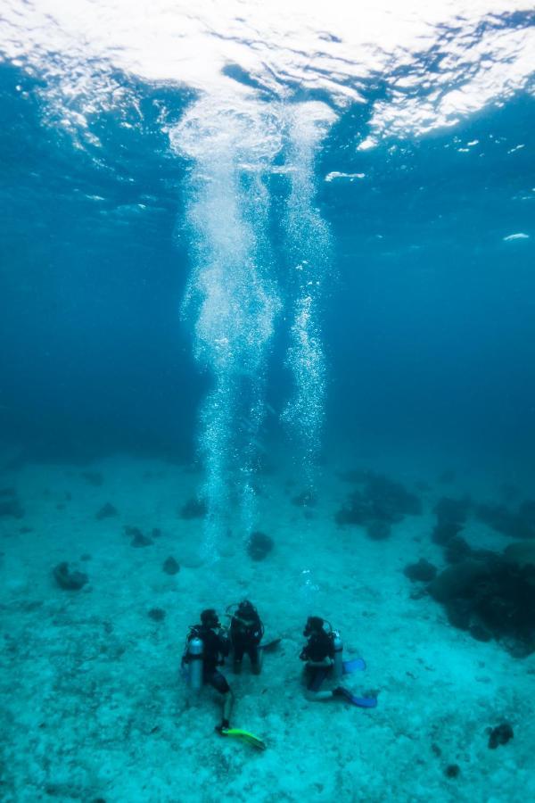 Forra Dive Resort Sunrise كو ليبي المظهر الخارجي الصورة