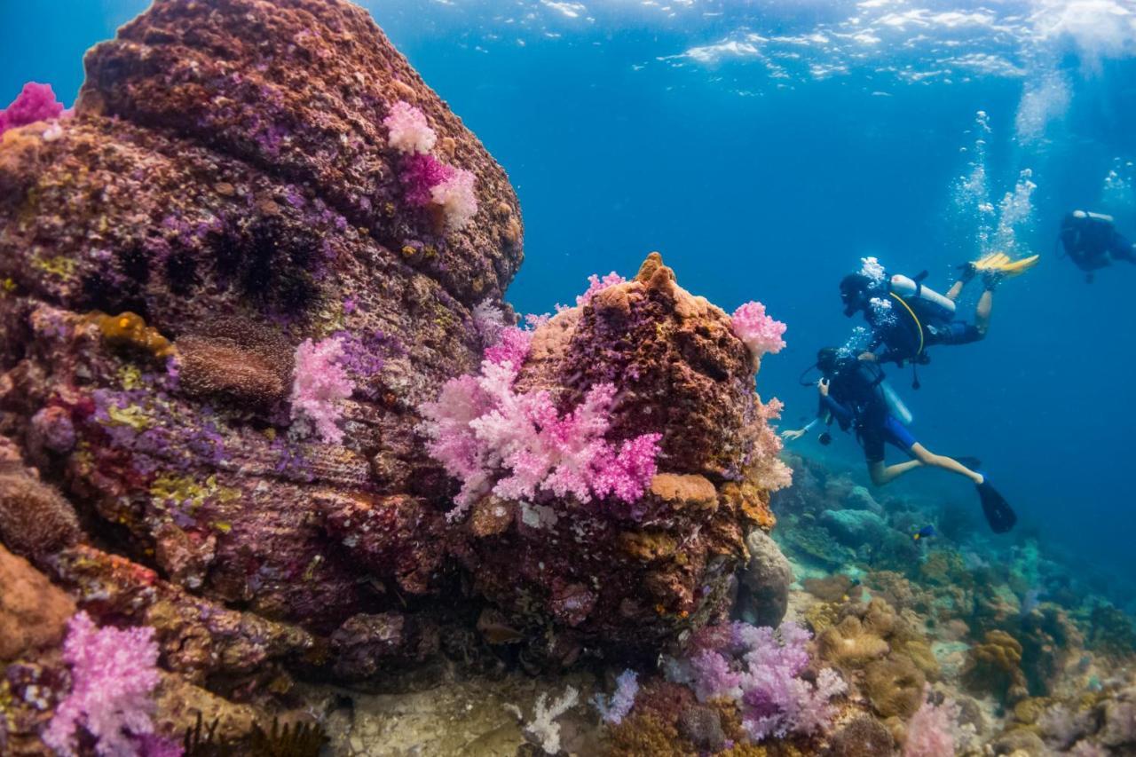 Forra Dive Resort Sunrise كو ليبي المظهر الخارجي الصورة