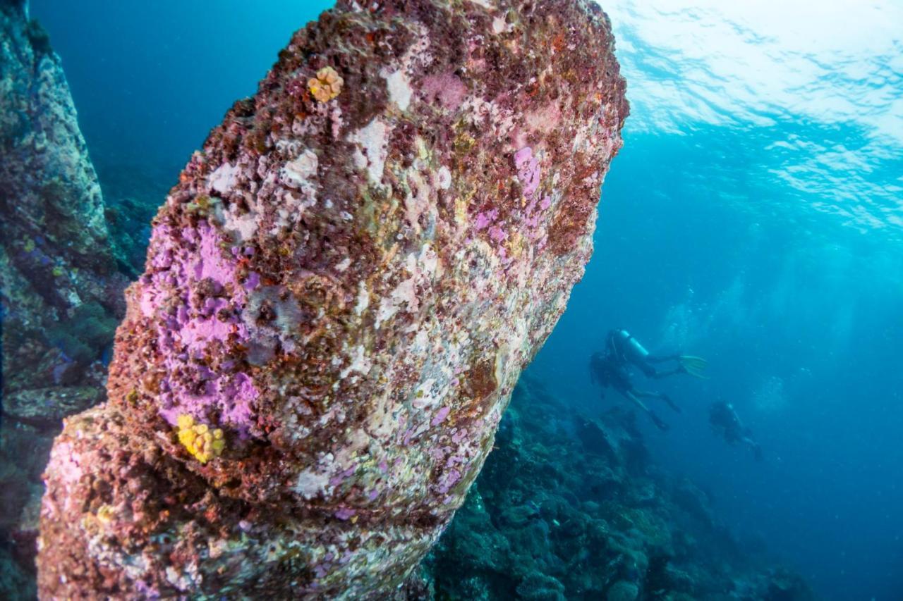 Forra Dive Resort Sunrise كو ليبي المظهر الخارجي الصورة